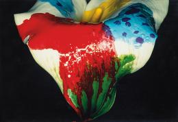 Lote 419: NABUYOSHI ARAKI - Painting flower