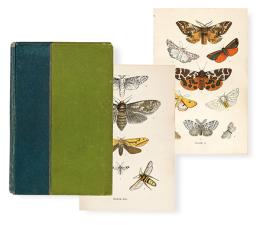 Lote 44: JAMES WILLIAM TUTT - British Moths